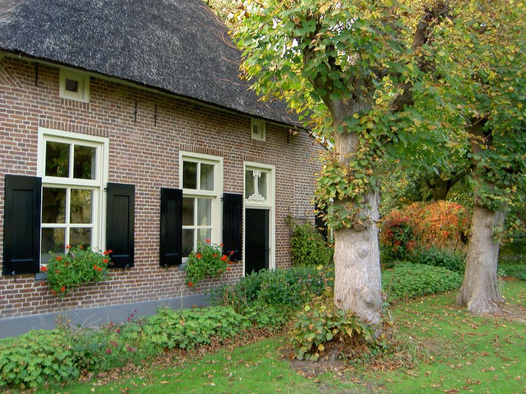 Hoeve Den Anholt Villa Ruinen Ngoại thất bức ảnh