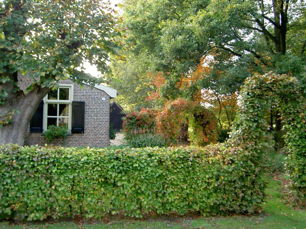 Hoeve Den Anholt Villa Ruinen Ngoại thất bức ảnh