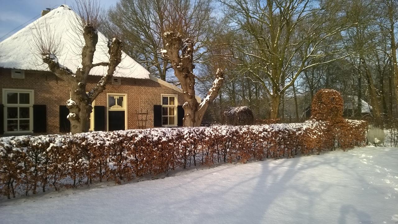 Hoeve Den Anholt Villa Ruinen Ngoại thất bức ảnh