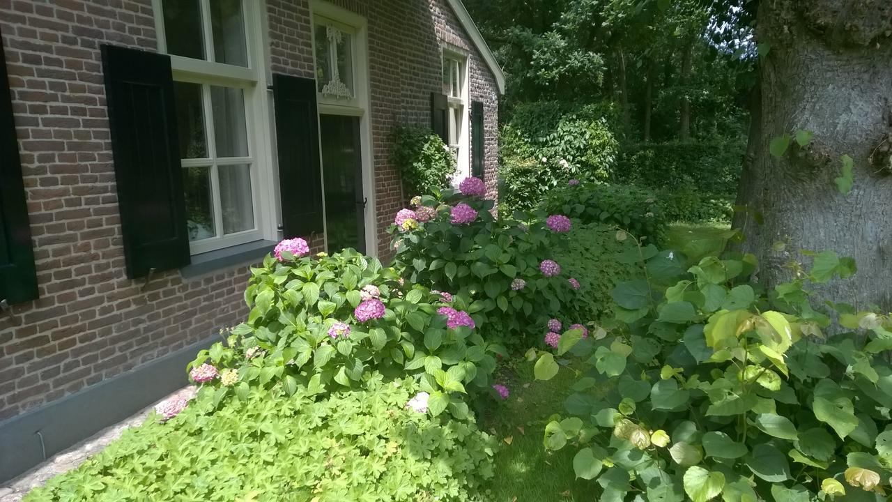 Hoeve Den Anholt Villa Ruinen Ngoại thất bức ảnh