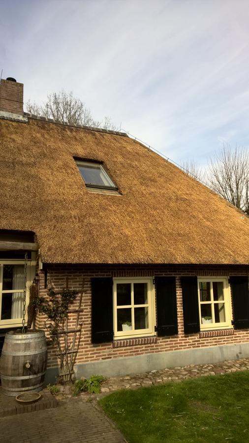 Hoeve Den Anholt Villa Ruinen Ngoại thất bức ảnh